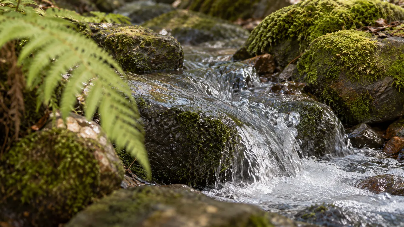 Waterfall illustration
