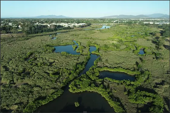 Wetlands in urban environments, Annandale wetlands, Townsville, 2022