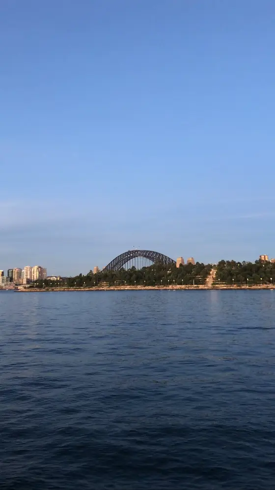 View of the Sydney Harbour Bridge from East Balmain, Barangaroo Reserve is in the foreground