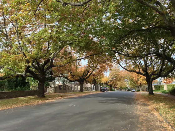 Knutsford Street, Balwyn