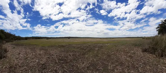 Panorama of Thomsons Lake, Western Australia, taken from the south. At this point, during the height of summer, the lake holds no water.