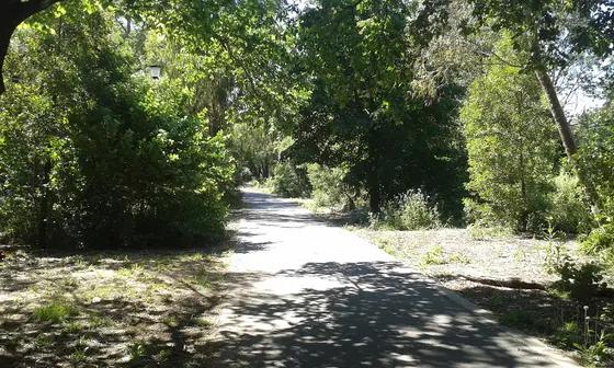 Bushy Creek Trail, Mont Albert North