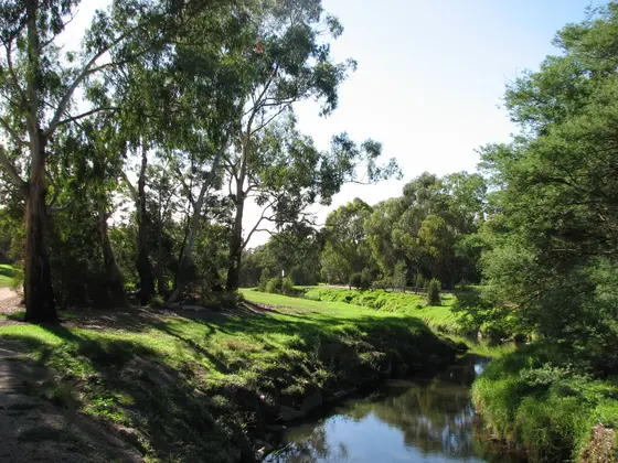 Gardiners Creek Reserve, Box Hill South, Victoria, Australia