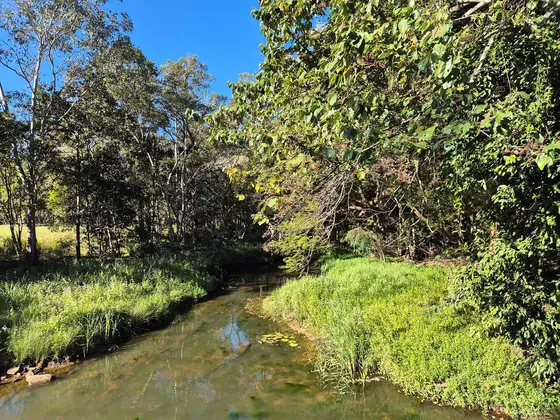 Four Mile Creek in Bray Park