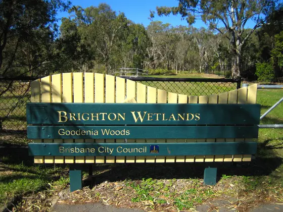 Brighton Wetlands Goodenia Woods from Speight Street entrance. Image from www.paulcopsey.com.au please link to this URL if you use this image
