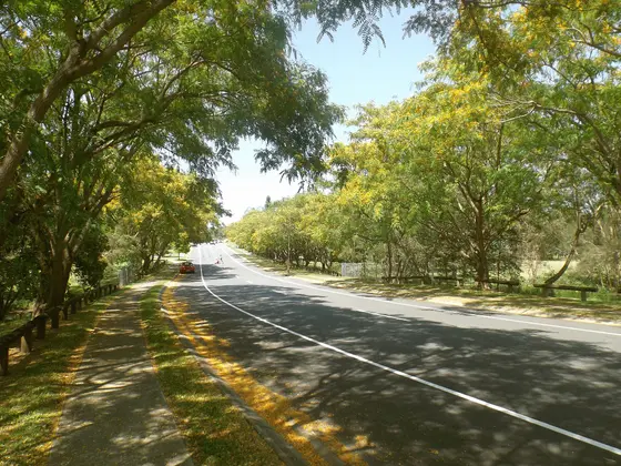 Photo of Hickey Way at Carrara, Gold Coast City, Queensland, Australia.