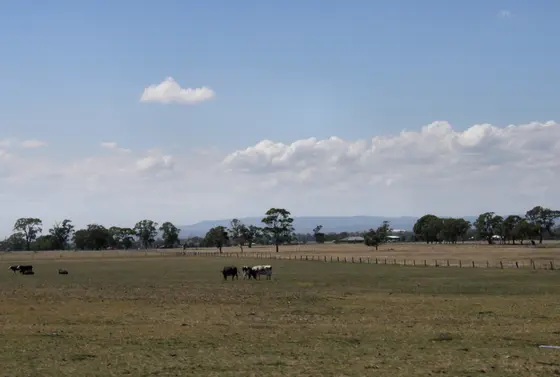 Views of the Dandenong Ranges from Carrum Downs.
