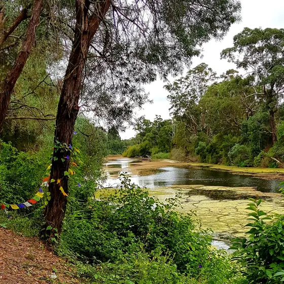 Calm and colorful waters on Georges River. Casula