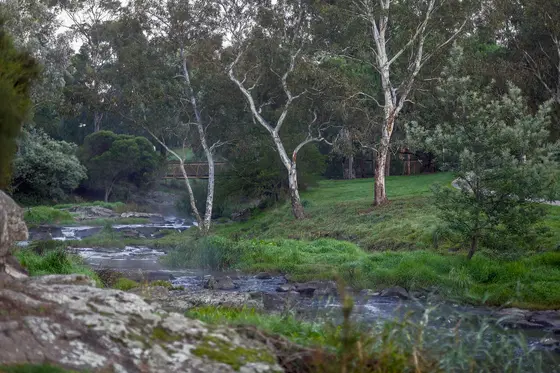 Merri Creek at Lake Reserve Coburg at sunrise April 2021
