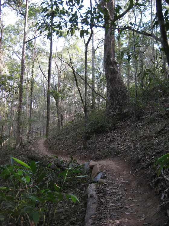 Cornubia Forest Nature Refuge, Logan City, Queensland, Australia - see Cornubia, Queensland. Walking and biking track near Ginger Gully, on the southern slope o