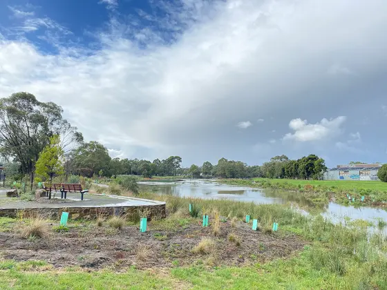 The Taralla Wetlands are located in Croydon, Victoria, Australia. This photo was taken after heavy rain.