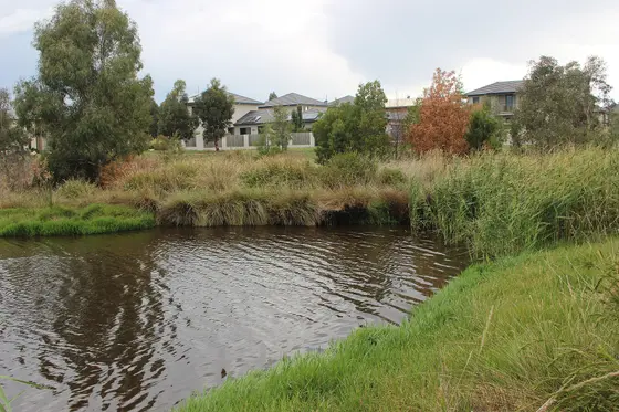 Franklin wetlands