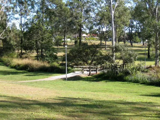 Australian native vegetation in Kev Hooper park in Inala