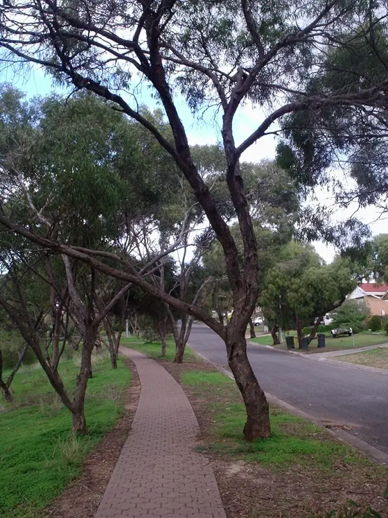 Streetscape - Amundsen drive, ingle farm, Adelaide, South Australia