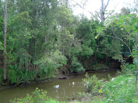 Photo of Moggill Creek at Rafting Ground Reserve, Kenmore, Brisbane, Queensland, Australia.