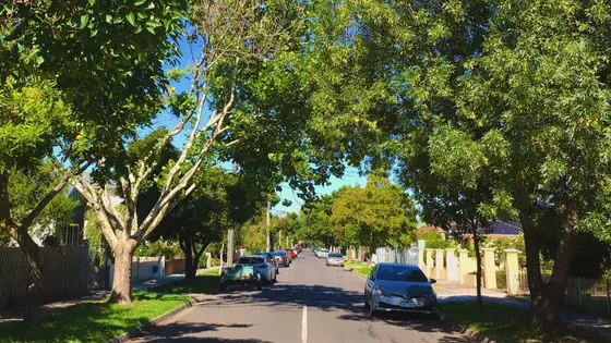 Street in Maidstone, Victoria