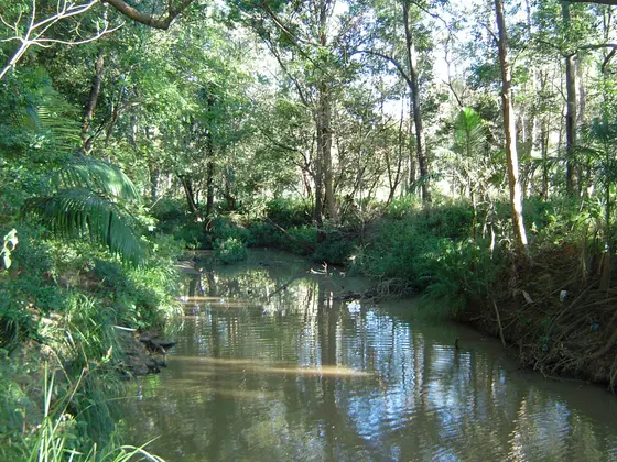 Photo of Bulimba Creek at Mansfield, Brisbane, Queensland, Australia.