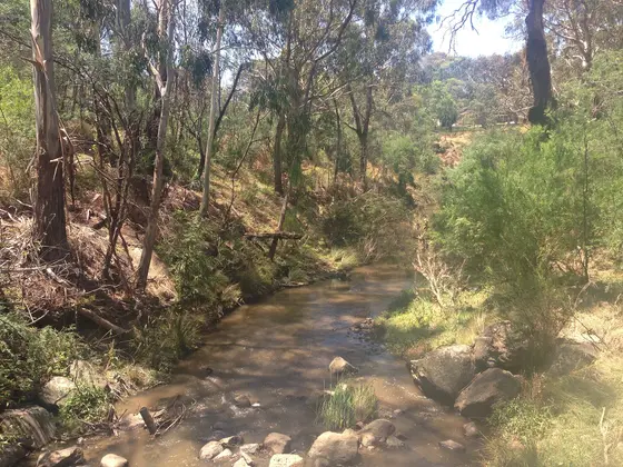 Plenty River, Montmorency