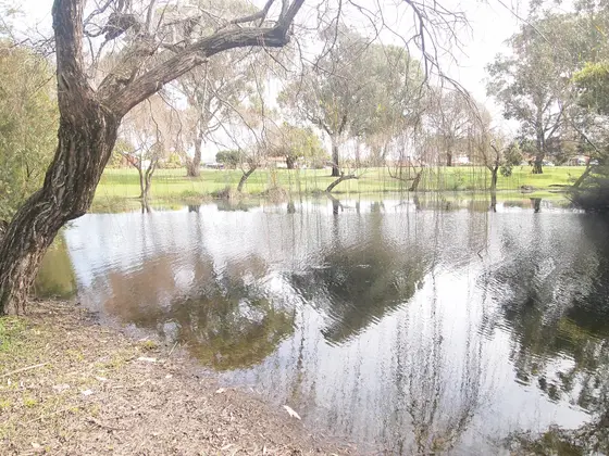 Picture of Nora Hughes Park, in Morley WA