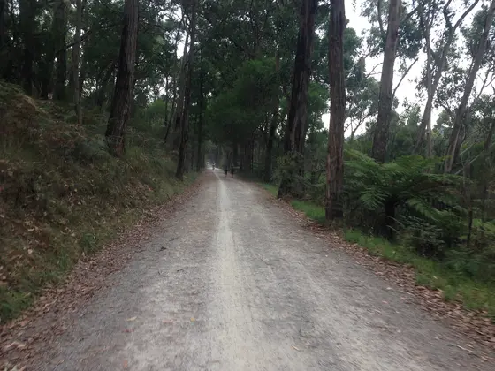 Lilydale-Warburton Rail Trail, Mount Evelyn