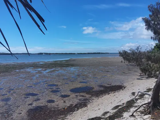 Photo of beach and Pumicestone Passage at Pelican Waters on the Sunshine Coast, Queensland, Australia.