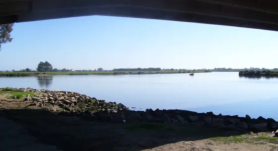 Confluence of the Hunter and Williams rivers at Raymond Terrace, New South Wales. The image was taken from under the Fitzgerald Bridge over the Williams River, 
