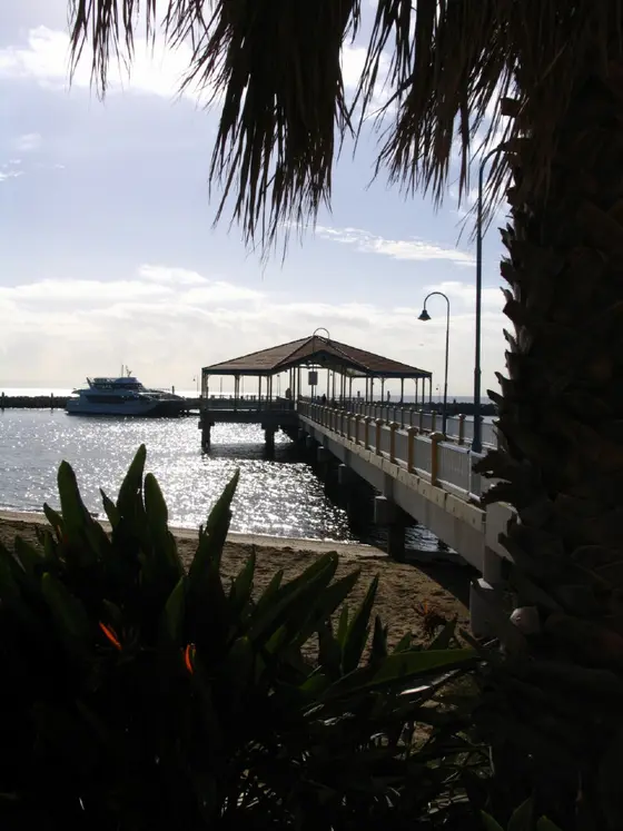 Redcliffe Jetty on Moreton Bay, taken from land between a palm (species unknown) and a Bird-of-Paradise (Strelitziae reginae), Queensland, Australia.