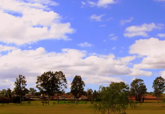 Representative view of South Penrith showing sparsely-treed open space in the foreground, and single-storey brick dwellings in the background. Vegetation is typ