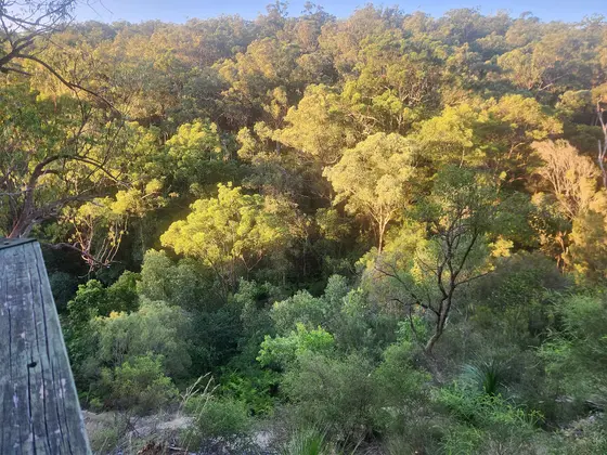 View from the lookout at Springwood Conservation Park