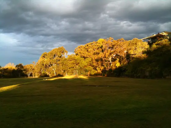 A view over Acron Oval, showing overcast sky with light on the trees