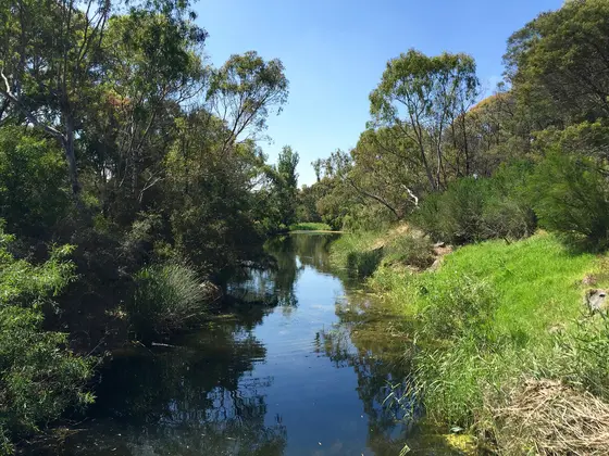 Looking southwards down Kororoit Creek in Sunshine, south of Forrest St.