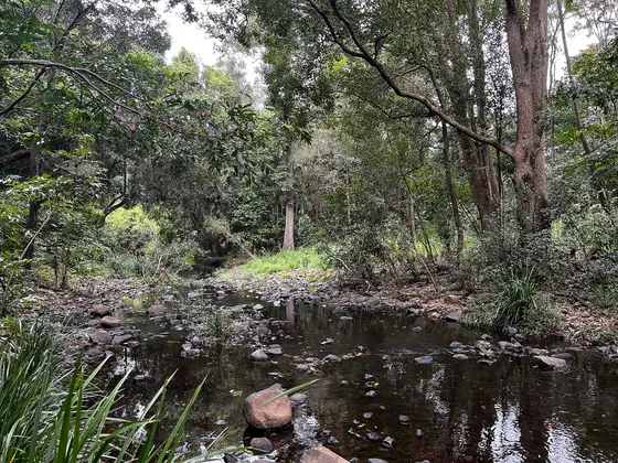The Enoggera Creek as it runs through Allamanda Street Park in The Gap, Queensland