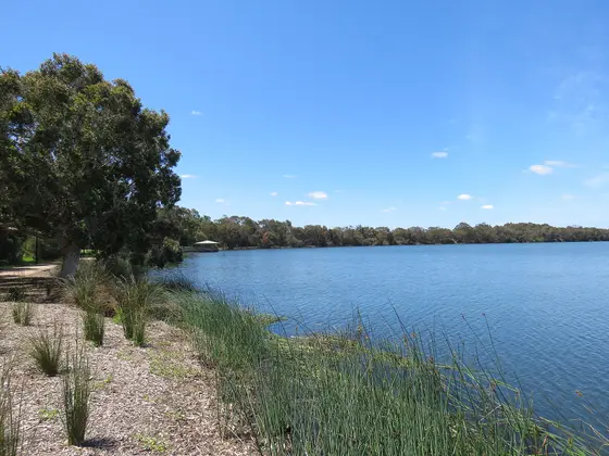 The northern shore of Lake Monger, Western Australia.
