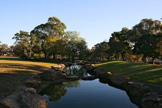 Ponds bordering the east side of Wiley Park