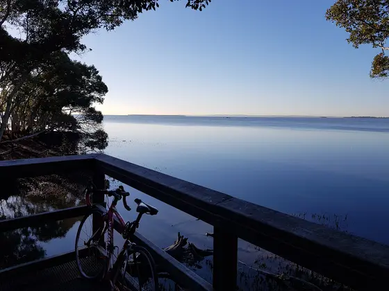 View of Moreton Bay towards Stradbroke Island from Wynnum Mangroves