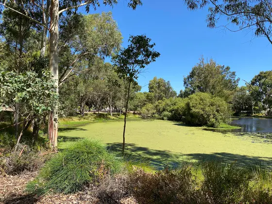 In der City of Stirling, Perth, Western Australia, Australien.