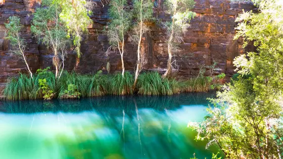 Dales Gorge