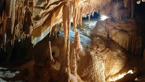 Jenolan Caves