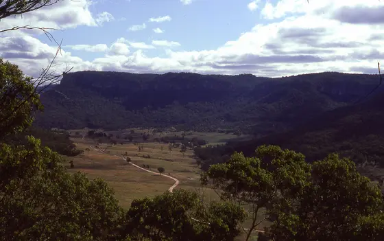 Newnes