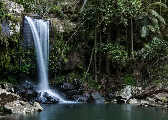Curtis Falls