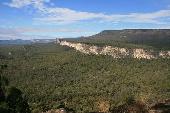 Boolimba Bluff