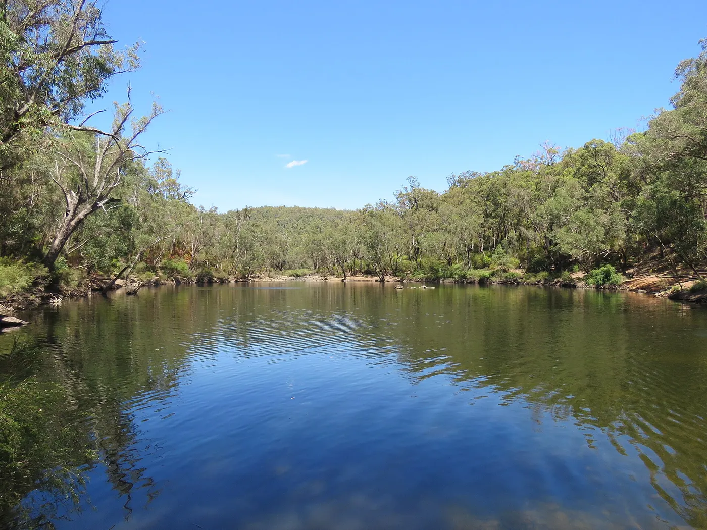 Island Pool