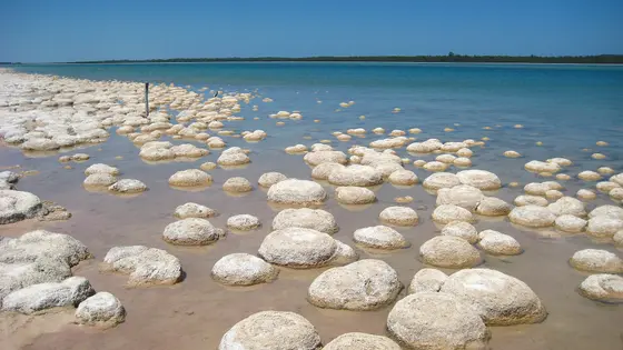 Lake Clifton