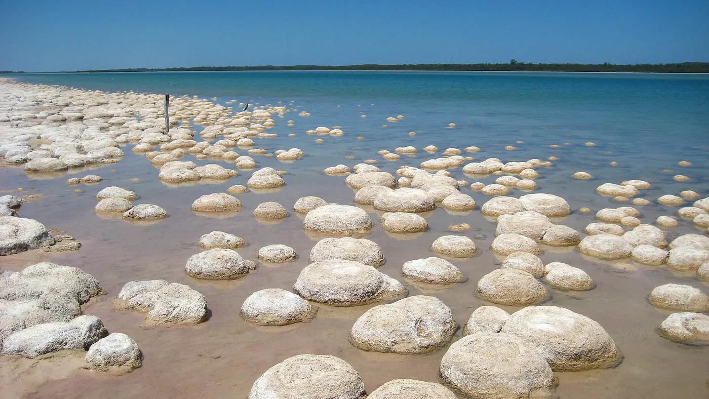 Lake Clifton