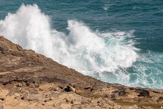 Cape Bridgewater