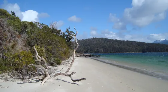 Fishers Point