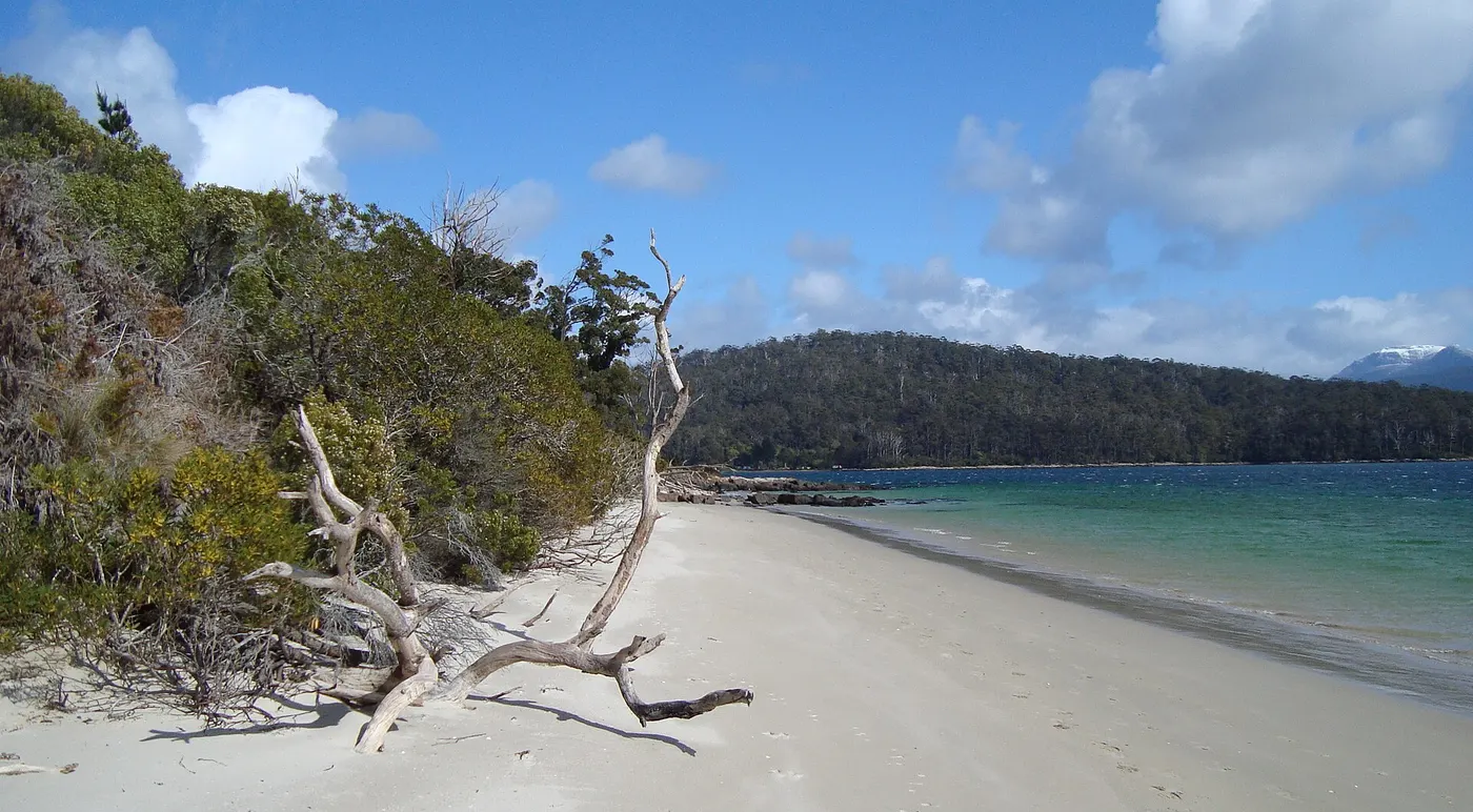 Fishers Point