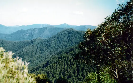 Careys Peak