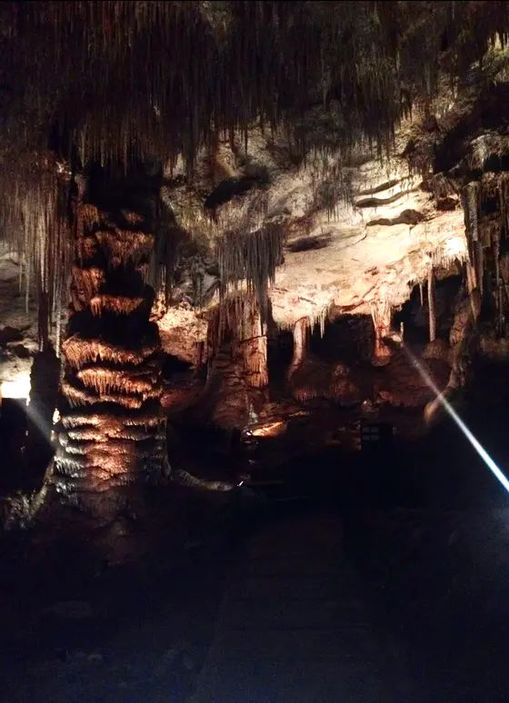 Tantanoola Caves