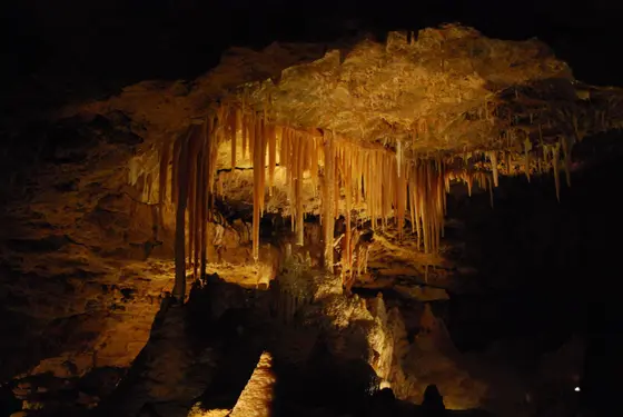 Victoria Fossil Cave